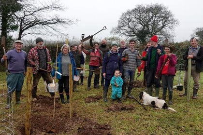 Twenty-one trees mark 21 years of existence for Tavy and Tamar group