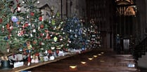 Tavistock Christmas Tree Festival returns next week