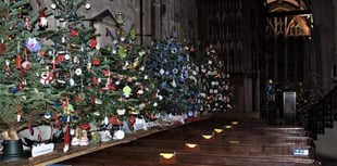 Tavistock Christmas Tree Festival returns next week