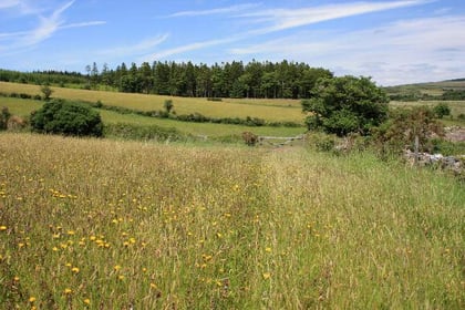 Is greater protection for Dartmoor on the cards following the rise of anti social behaviour during the pandemic?