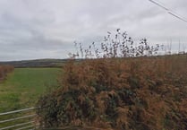 Plan for village homes in Harrowbarrow turned down