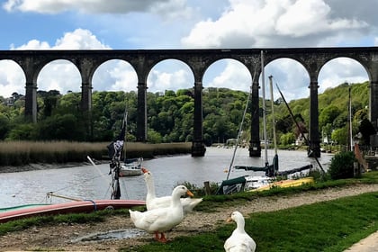 Calstock elect new parish councillors