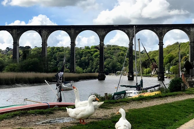 Calstock waterfront, River Tamar