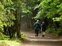 Tamar Trails woodland thrill ride sparks concern