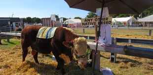 Okehampton Show is a scorcher!