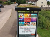 The next stop is a living roof bus shelter