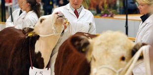 Agrifest returns to Westpoint