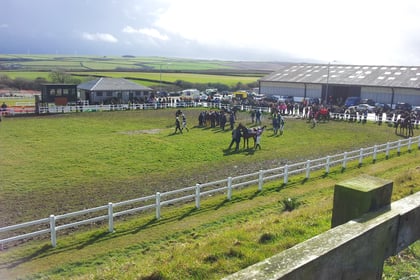 Horses back on track after festive break