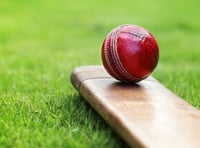 Cricket: Whitchurch firsts give good show at Shaldon