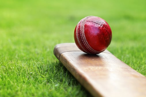 Cricket ball resting on a cricket bat on green grass of cricket pitch