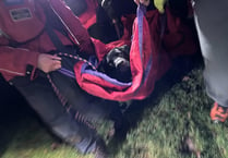 Injured dog rescued after falling 50ft at Burrator Reservoir dam 