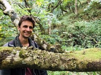 Writer to give talk in Calstock on restoring our ancient rainforests