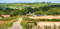 Devon housebuyers more likely to use local estate agents