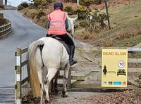 Drivers in Devon asked to 'rein' in their speed for horses 