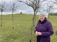 Moorland trees a ‘blot on the moor’ blocking views