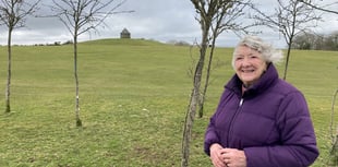 Moorland trees a ‘blot on the moor’ blocking views