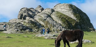 MPs secure inquiry into management of Dartmoor