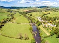 River Tamar project to safeguard endangered fish criticised