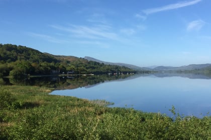 Be a nature spotter for Trust's biggest wildlife survey