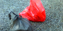 Worry over surging litter ‘epidemic’