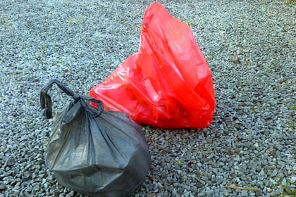 Worry over surging litter ‘epidemic’