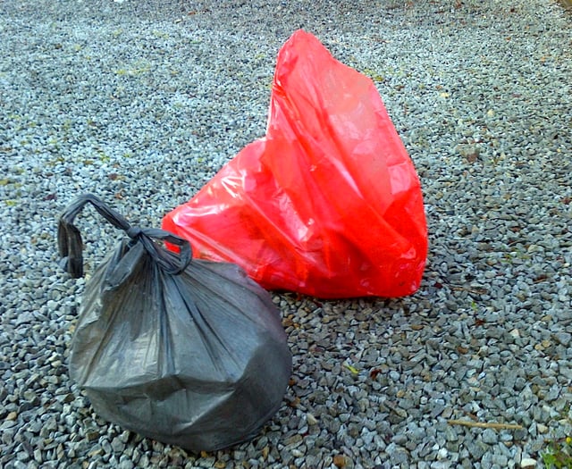 Worry over surging litter ‘epidemic’