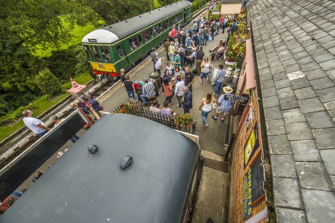 The South Devon Railway