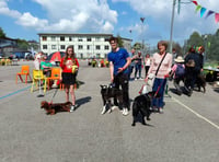 Dog show hailed a barking success