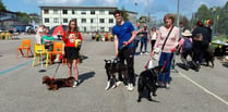 Dog show hailed a barking success