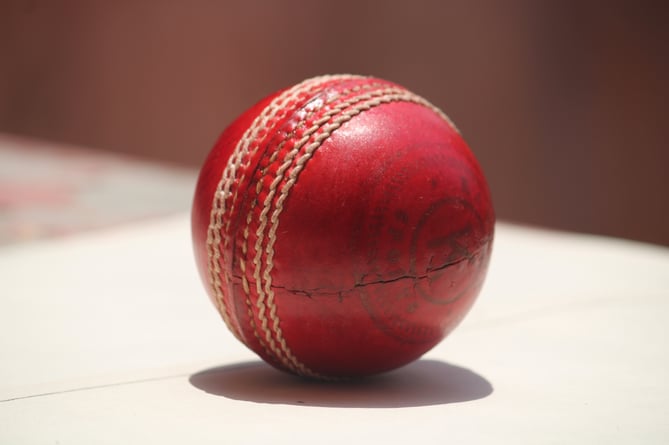 cricket ball