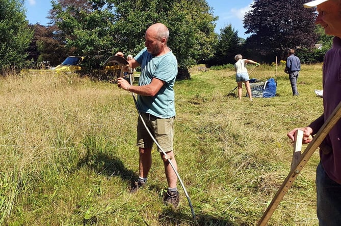 Hay meadow mowed by scythe to create a wildlife rich area..jpg