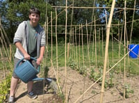 New allotments’ social benefits