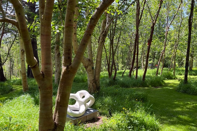 Stone Lane Gardens near Chagford