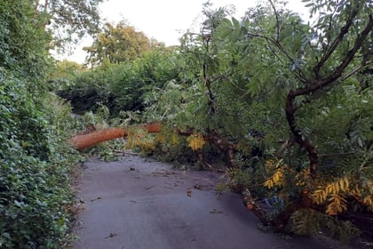 Highways teams thanked for swift clear-up after Storm Antoni