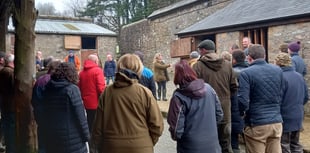 Free support sessions for Dartmoor farmers