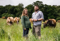 Councillors back couple’s farm shop