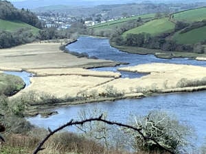 More bathing spots expected in the future