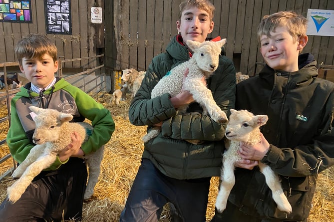 Billy Cole, George Brown and Tom Cole, at Greenwell Farm