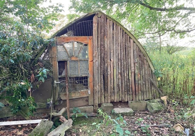 The ramshackle kennels