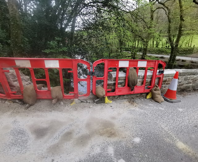 Tavy bridge hit again