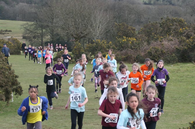 Tavistock Area Primary Schools Cross Country