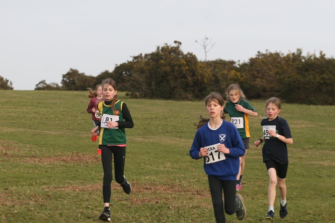 Cross country runners