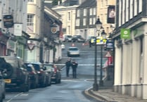 Two arrests after man assaulted in Tavistock