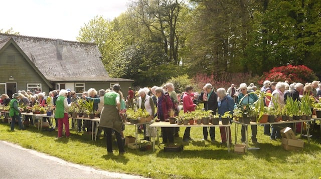 NSPCC plant sale