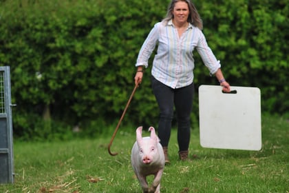 Gates open for first day of Devon County Show