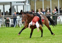 Ultimate horsepower at Devon County Show