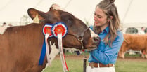 Family's cattle are pride of the shows