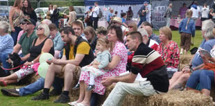 Record crowd at Tamar Valley Fete