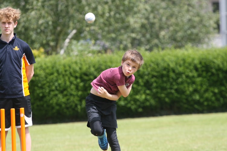 West Devon Primary Schools Cricket Competition 