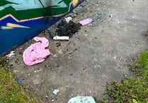 Call to report Callington skatepark vandalism